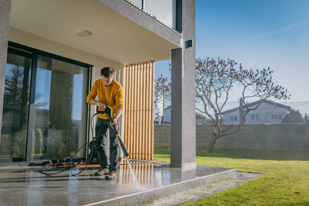 Best Dumpster Area Cleaning  in Ogden Dunes, IN
